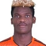 Didier Ndong