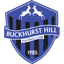Buckhurst Hill Logo