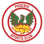 Phoenix Sports Logo