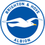 Brighton & Hove Albion Logo