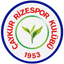 Rizespor Logo