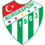Bursaspor Logo
