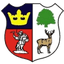 Cinderford Town Logo