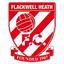 Flackwell Heath FC Logo
