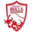 Jersey Bulls Logo