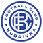 Kudrivka Logo