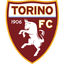 Torino Logo